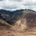TZA ARU Ngorongoro 2016DEC26 Crater 097 : 2016, 2016 - African Adventures, Africa, Arusha, Crater, Date, December, Eastern, Month, Ngorongoro, Places, Tanzania, Trips, Year
